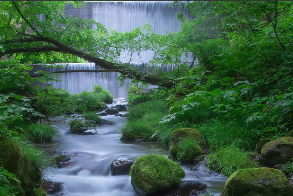 鳥取県