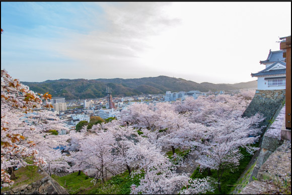 岡山県