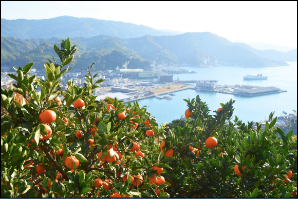 愛媛県